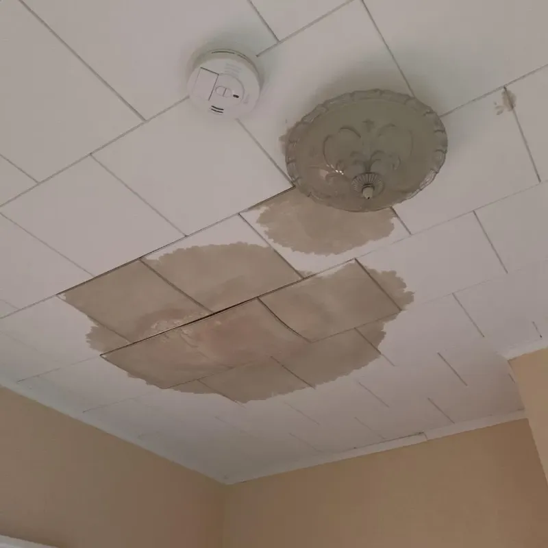 Ceiling Water Damage Repair in Jamestown, NY