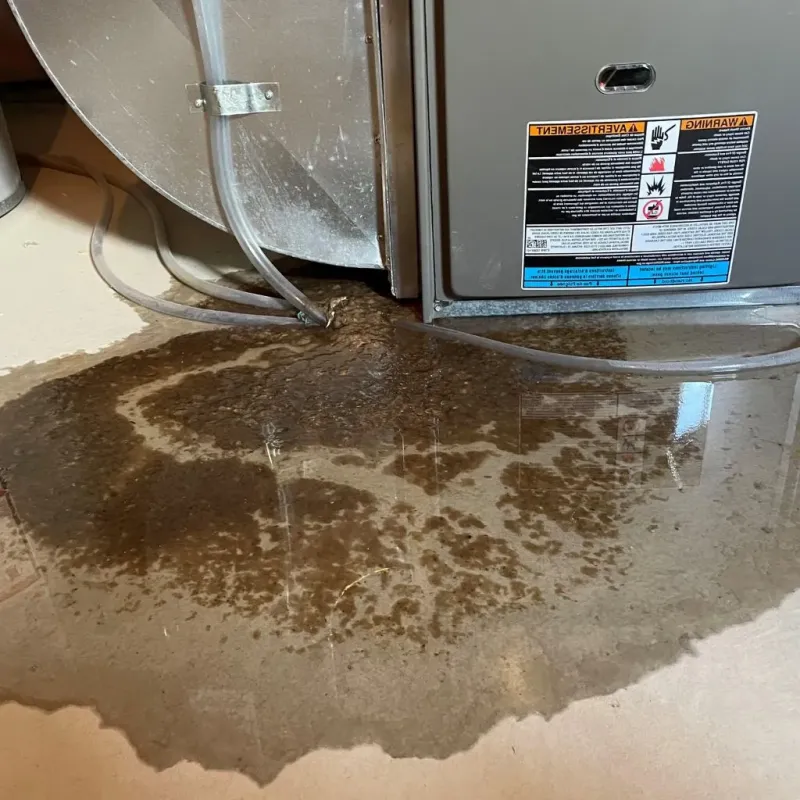 Pipe Burst and Leak Restoration in Jamestown, NY